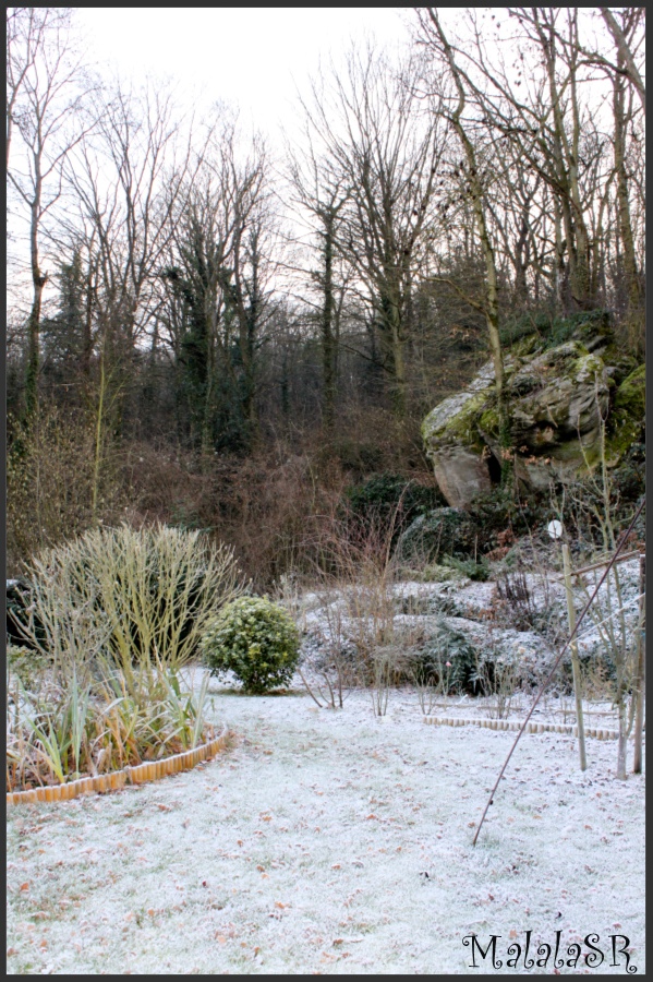 Nature gelée