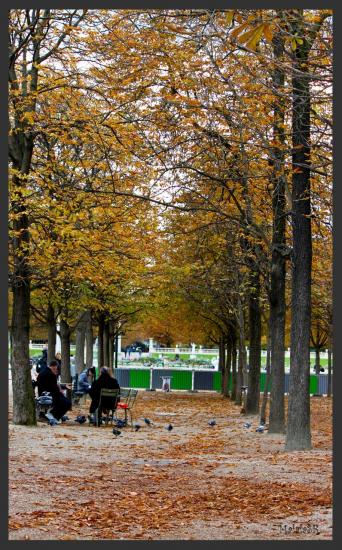 Jardin du Luxembourg