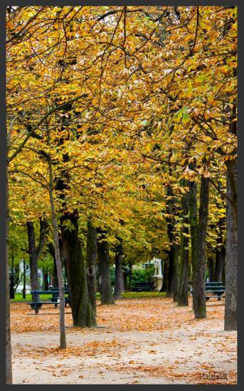 Jardin du Luxembourg
