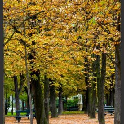 Promenade automnale au Jardin du Luxembourg