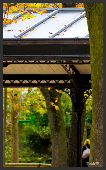 Jardin du Luxembourg