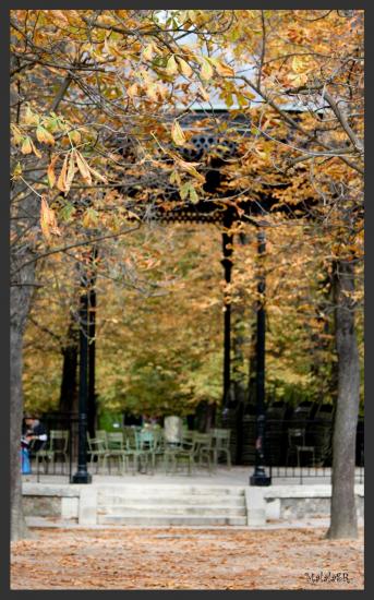 Jardin du Luxembourg