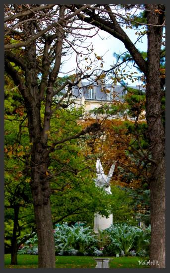 Jardin du Luxembourg