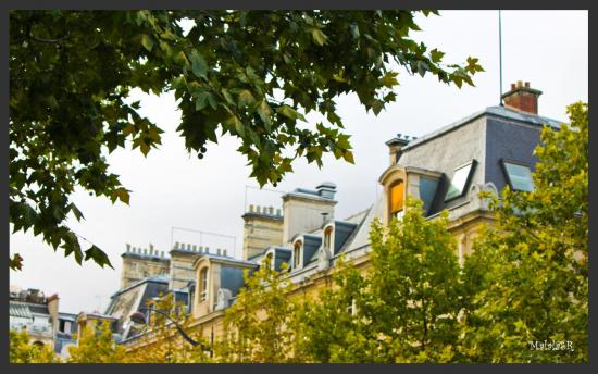 Jardin du Luxembourg