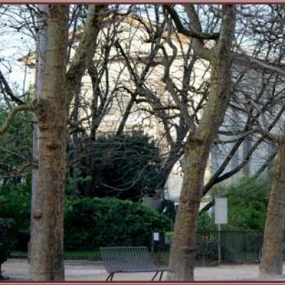 Matinale au jardin des plantes