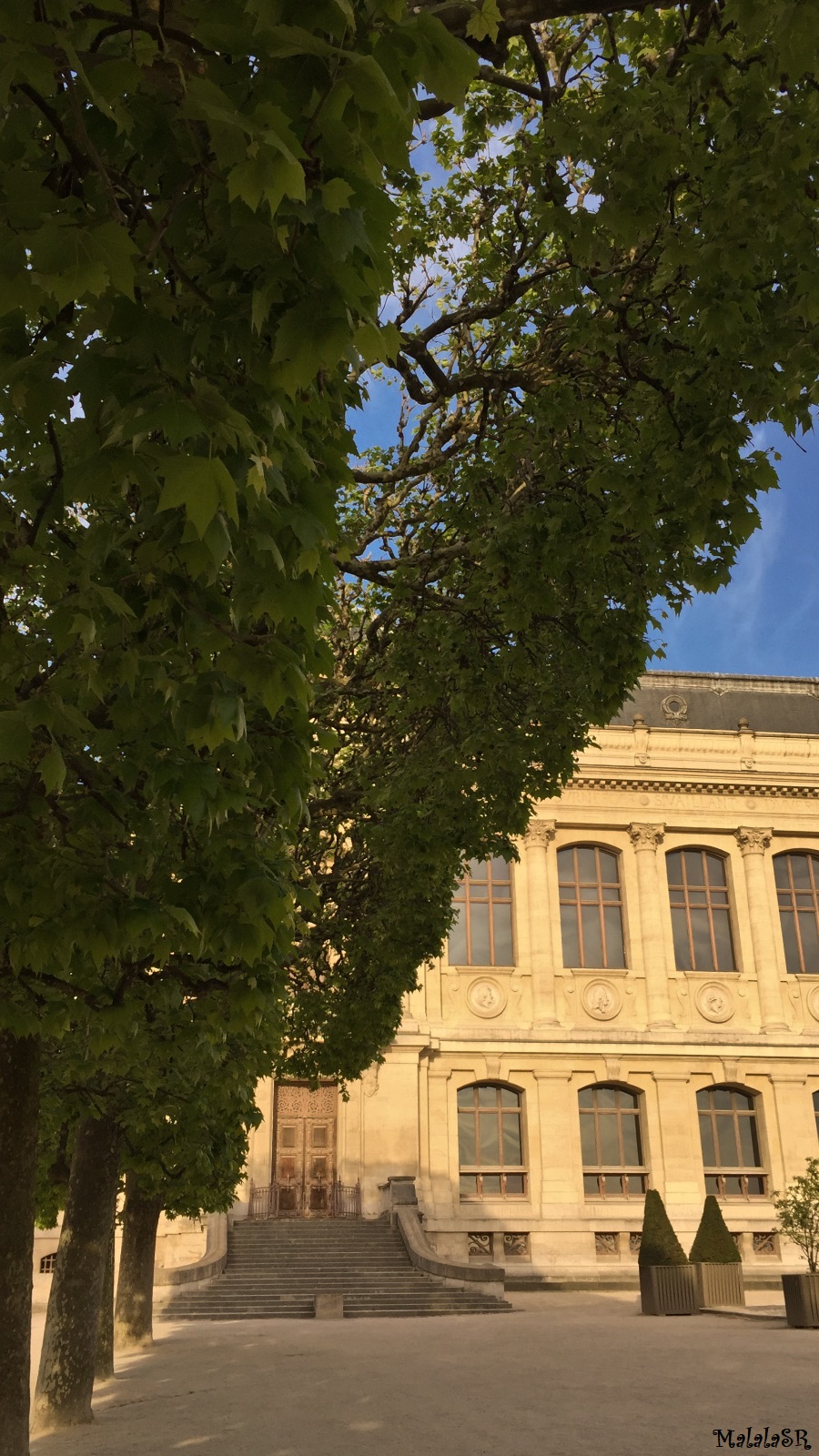 Jardin des Plantes 