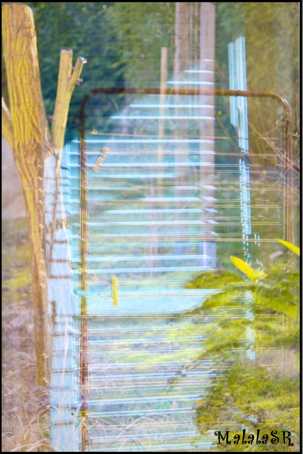 reflets