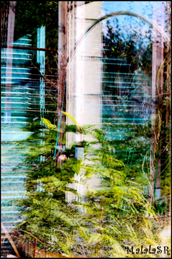 reflets