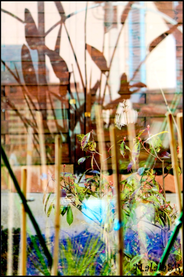 reflets