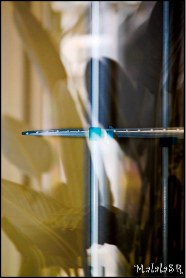 reflets