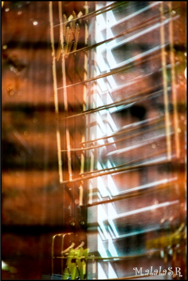 reflets