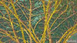 autumn04-1.jpeg