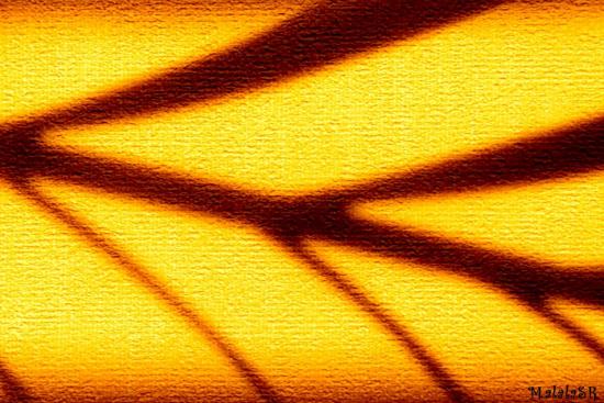 ombre jaune.jpeg