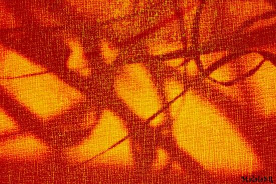 ombre-04-1.jpeg