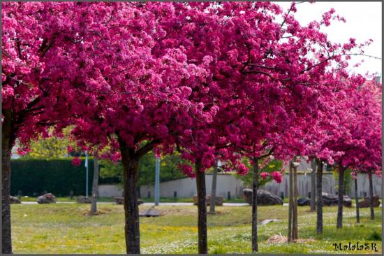 spring-07-1.jpeg