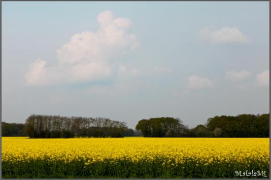 spring-08-1.jpeg