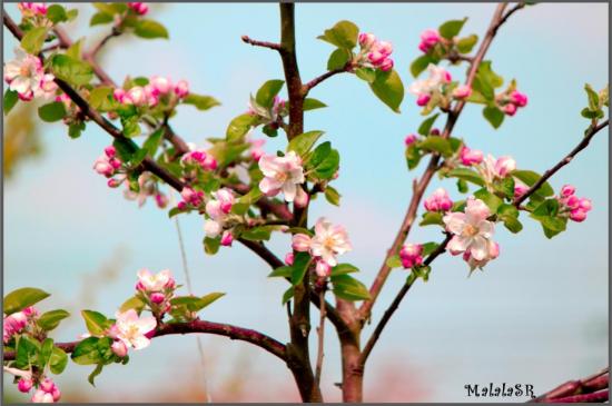 spring-14-1.jpeg